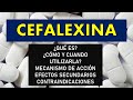 🔴 CEFALEXINA | PARA QUÉ SIRVE, EFECTOS SECUNDARIOS, CONTRAINDICACIONES Y MECANISMO DE ACCIÓN