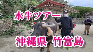 【沖縄八重山諸島 竹富島】水牛ツアーなど感動観光スポット！　#竹富島　#コンドイ浜　#出川哲朗　#充電旅　#水牛ツアー　#石垣港　#チロリン村　#星砂の浜　#カイジ浜　#シーサー　#赤煉瓦の屋根