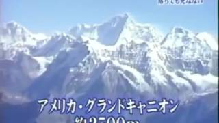 トリビアの泉「アリはどんな高さから落ちても死なない」