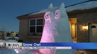 Aurora Resident Builds 12 Foot Tall Snow Owl After Blizzard