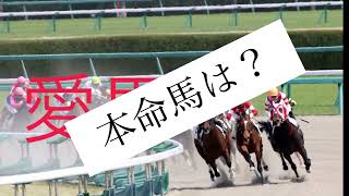 5/21  中央競馬新潟メイン韋駄天ステークス予想