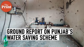 Farmers ‘unpaid’ in Punjab’s Pani Bachao Paise Kamao scheme, but power being saved