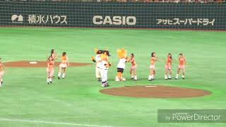 2018 ドーム最終日 新井選手に花束贈呈