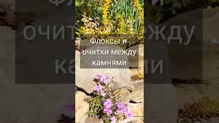 Подпорная стена методом сухой кладки своими руками 🍀 Сажаю очитки и флоксы.🍀🍀