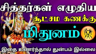 மிதுனம் - சித்தர்கள் எழுதிய சூட்சம கணக்கு | இதை உணர்ந்தால் துன்பம் இல்லை | mithunam rasi character