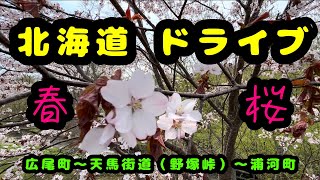 【北海道ドライブ】広尾町〜浦河町〈天馬街道（国道236号）〉