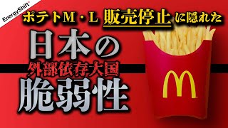 外部依存大国の日本を襲うのはエネルギーのみならず