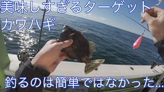 【カワハギ】餌釣りだしまぁ釣れるでしょ！と思ったら悶絶の6時間になった件...【金沢八景】