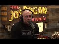 dan flores has a wild raven and it communicates with him jre