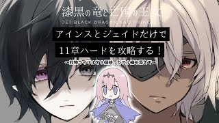 【漆黒の竜と亡国の王女】11章ハードをアインスとジェイドだけで攻略してみた。【製作者縛りプレイ】