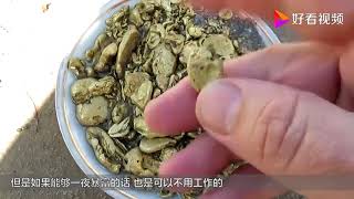 水下寻宝捡到两部手机，网友：这才是职业的寻宝者，看完好羡慕