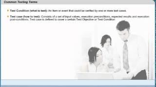 Common Software Test Terms | Test Case and Test Condition | What is Software Testing?