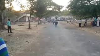 Buffalo Race in Miraj Prashant Yedake Sangliwadi