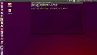 How to run python program using terminal.