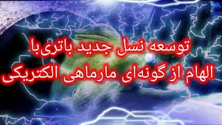 نسل جدید باتری‌|ساخت باتری‌هایی با فناوری جدید با الهام از مارماهی الکتریکی