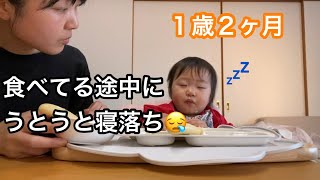 【ワンオペ育児】１歳２ヶ月の良く食べる娘、食べながら寝落ちしちゃう姿が可愛い😴