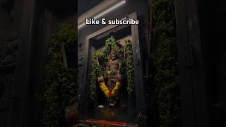 Govinda Hari Govinda #govinda #tirupati #tirumala #tirupatibalaji #venkateswara