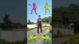 Green frogs to - red frog, yellow frog, green frog \u0026 blue frog dancing frog 😍😜 vfx magic video