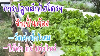 คำถามที่พบบ่อย การ #ปลูกผักไฮโดรโปนิกส์ ต้องวัดค่าน้ำไหม ต้องค่าเท่าไหร่ และ EC เท่าไหร่ จัดการยังไง