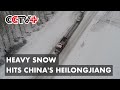 Heavy Snow Hits Heilongjiang