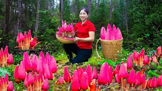 Harvesting Red mushroom  Goes To Market Sell | Cooking And Gardening | Lý Hương Song