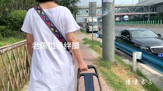 吃过早饭和老陈一起去采购，花了不到600元，装了一满“车”