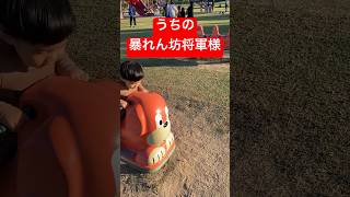 【ハプニング】暴れん坊将軍🏇　#shorts #ハプニング #面白い #かわいい #一撃  #侍