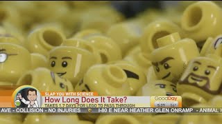 Slap You With Science: Lego Heads