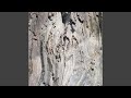With-Wind (Nothing Personal Remix)
