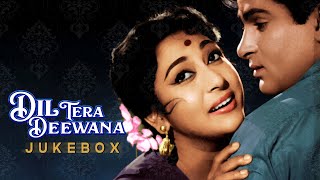 Dil Tera Deewana All Old Songs | Shammi Kapoor, Mala Sinha | Lata Mangeshkar, Mohd Rafi, Asha Bhosle