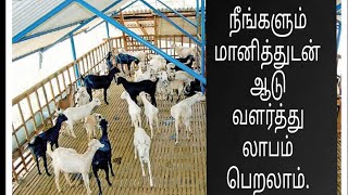 நீங்களும் ஆடு வளர்ப்பில் அதிக லாபம் பெற முடியும்