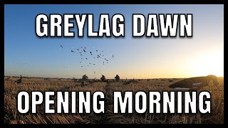 Greylag dawn opening morning#hunting #wildlife#Duckandshooting #pigeonshooting#Wildfowling