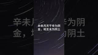 2024年辛未月, 7月6日-8月6日, 注意财务管理与投资 #易经 #周易 #天干地支