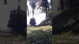 steamy locomotive