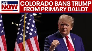 Donald Trump removed from Colorado's primary ballot due to insurrection clause | LiveNOW from FOX