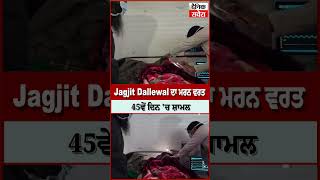 Jagjit Dallewal ਦਾ ਮਰਨ ਵਰਤ 45ਵੇਂ ਦਿਨ 'ਚ ਸ਼ਾਮਲ, ਹਾਲਤ ਨਾਸਾਜ਼, ਸਰਕਾਰੀ ਟਰੀਟਮੈਂਟ ਲੈਣ ਤੋਂ ਇਨਕਾਰ