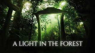 Endeleas - A Light in the Forest