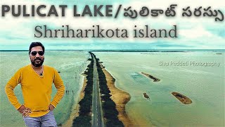 Visit To Pulicat Lake in Andhra Pradesh|India's Largest Salt Lake Drone Visuals #pulicatlake