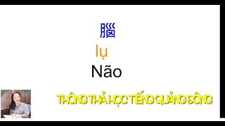 Thông thả học tiếng Quảng Đông bài 921: 31 từ câu nói tùy ý Não/ ￼腦..