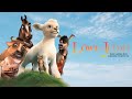 Löwe von Judah – Das Lamm, das die Welt rettete (Animationsfilm, Filme auf Deutsch, Kinderfilm)