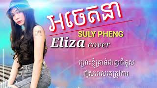 អចេតនា- cover by - Eliza