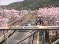 【歩道橋より】223系紀州路快速和歌山行き　山中渓駅到着から発車まで　3