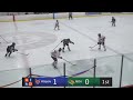 walpole girls varsity hockey vs. moa