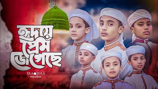 Hridoye Prem Jegeche হৃদয়ে প্রেম জেগেছে | Md Anhar | Bangla Islamic Nasheed 2025 | Taaqwaa