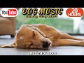 20 HOURS of Dog Calming Music🐶🎵Dog Separation Anxiety Music💖🦮Dog Relaxation Music⭐Healingmate