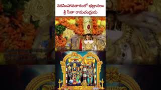 నరసింహావతారంలో శ్రీరామచంద్రుడు #badrachalam #jainarasimha #jaishreeram #vykuntaekadashi #devotional