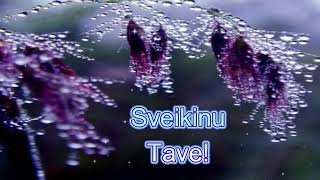 Sveikinimas - Tegul Tau Viskas Būna Gerai!