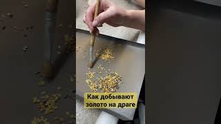 Как добывают золото на драге