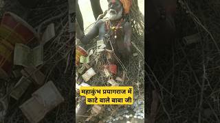 महाकुंभ प्रयागराज में काटे वाले बाबा जी#kumbh #kumbhmelaprayagraj #kumbhprayagraj #shortvideo #short