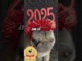 ¡en realidad no estamos en el aÑo 2025 2025 calendarios shorts